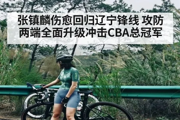 张镇麟伤愈回归辽宁锋线 攻防两端全面升级冲击CBA总冠军